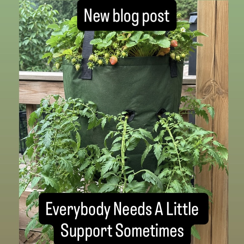 Everyone Needs a Little Support Sometimes