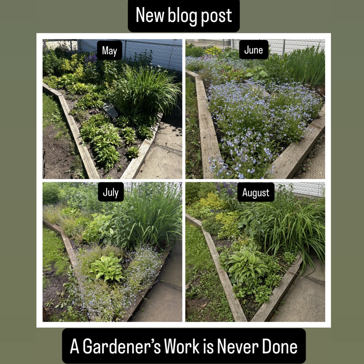 A Gardener’s Work (and their garden) is Never Done