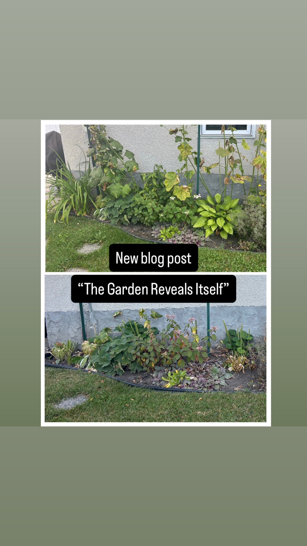 The Garden Reveals Itself