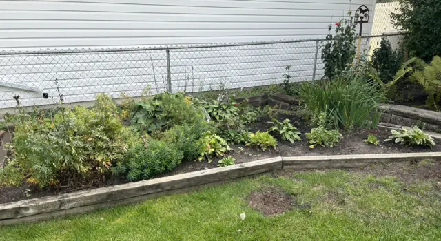 Over Wintering Your Zone 3/4 Perennial Garden