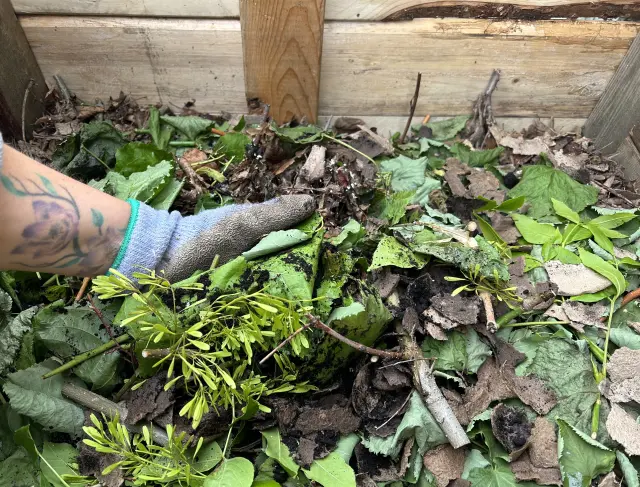 Compost, the Other Black Gold