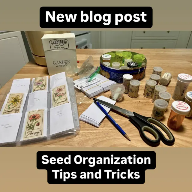 Seed Organization Tips and Tricks