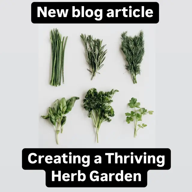 Creating a Thriving Herb Garden 