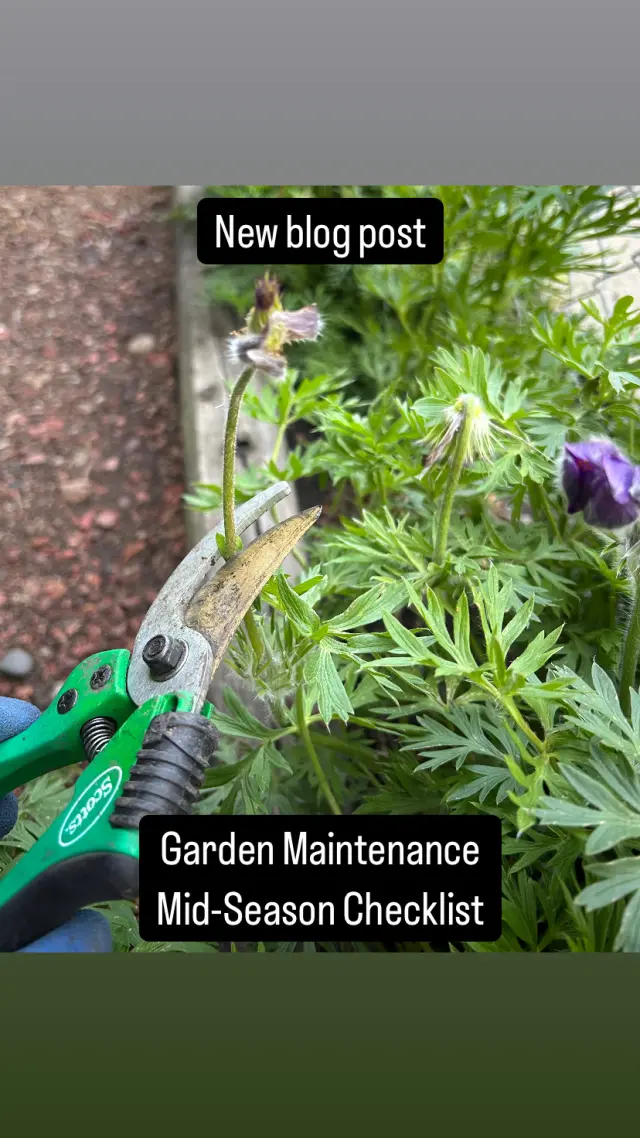 Garden Maintenance Mid-Season Checklist