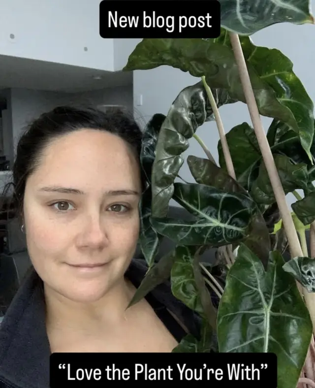  Love the Plant You’re With