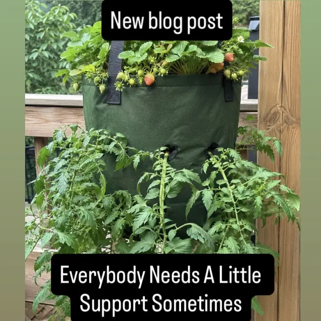 Everyone Needs a Little Support Sometimes