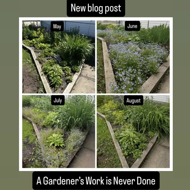 A Gardener’s Work (and their garden) is Never Done