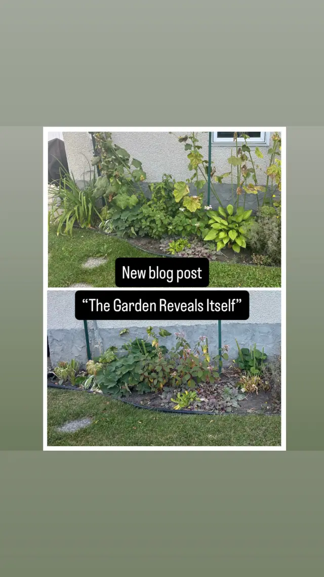 The Garden Reveals Itself