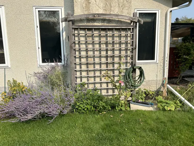 Low Maintenance Gardening