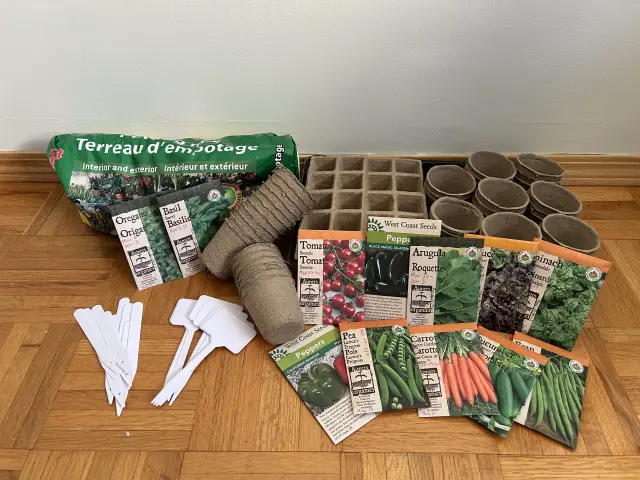 Beginner’s Guide to Starting Your Vegetable Garden