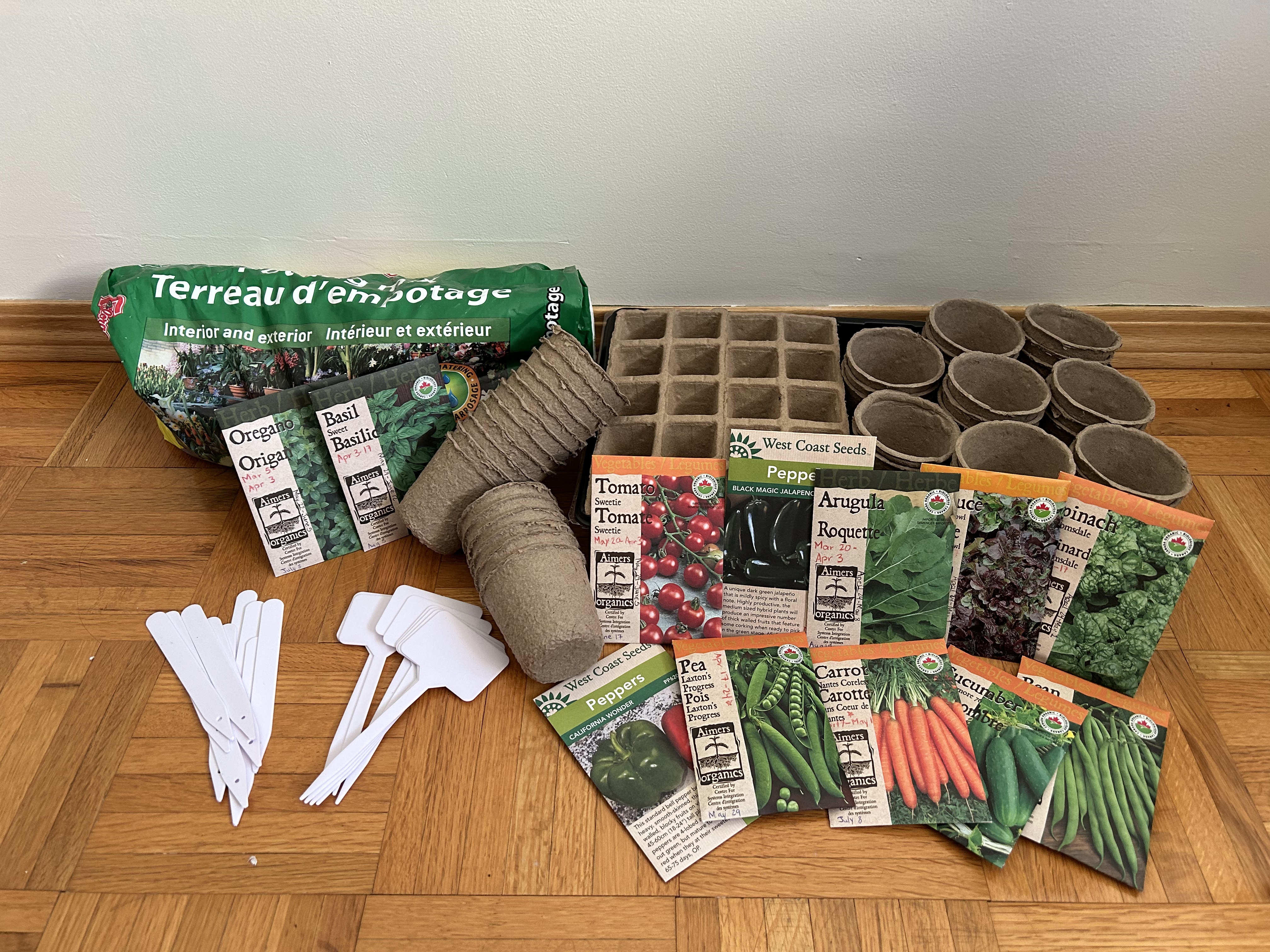 Beginner’s Guide to Starting Your Vegetable Garden