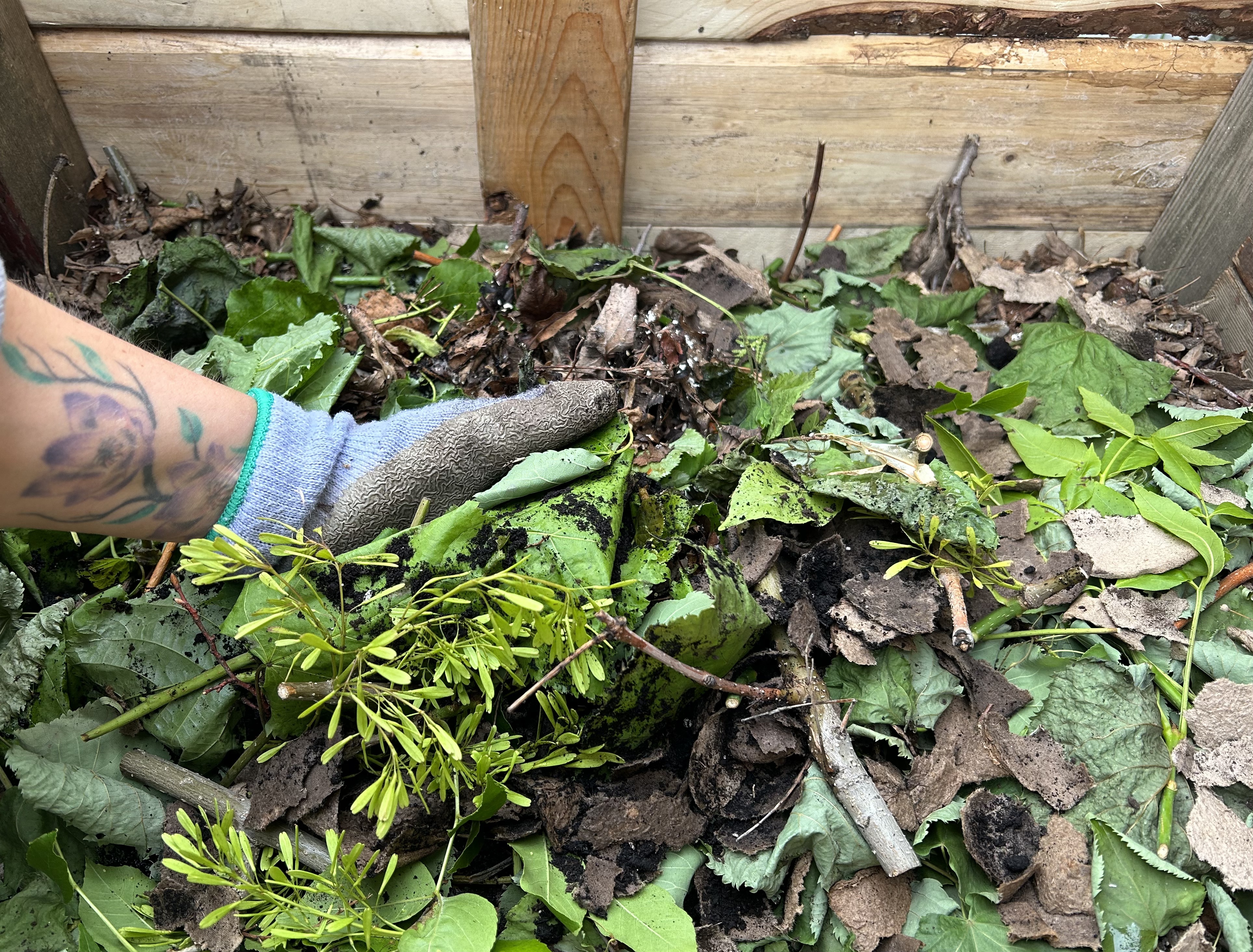 Compost, the Other Black Gold