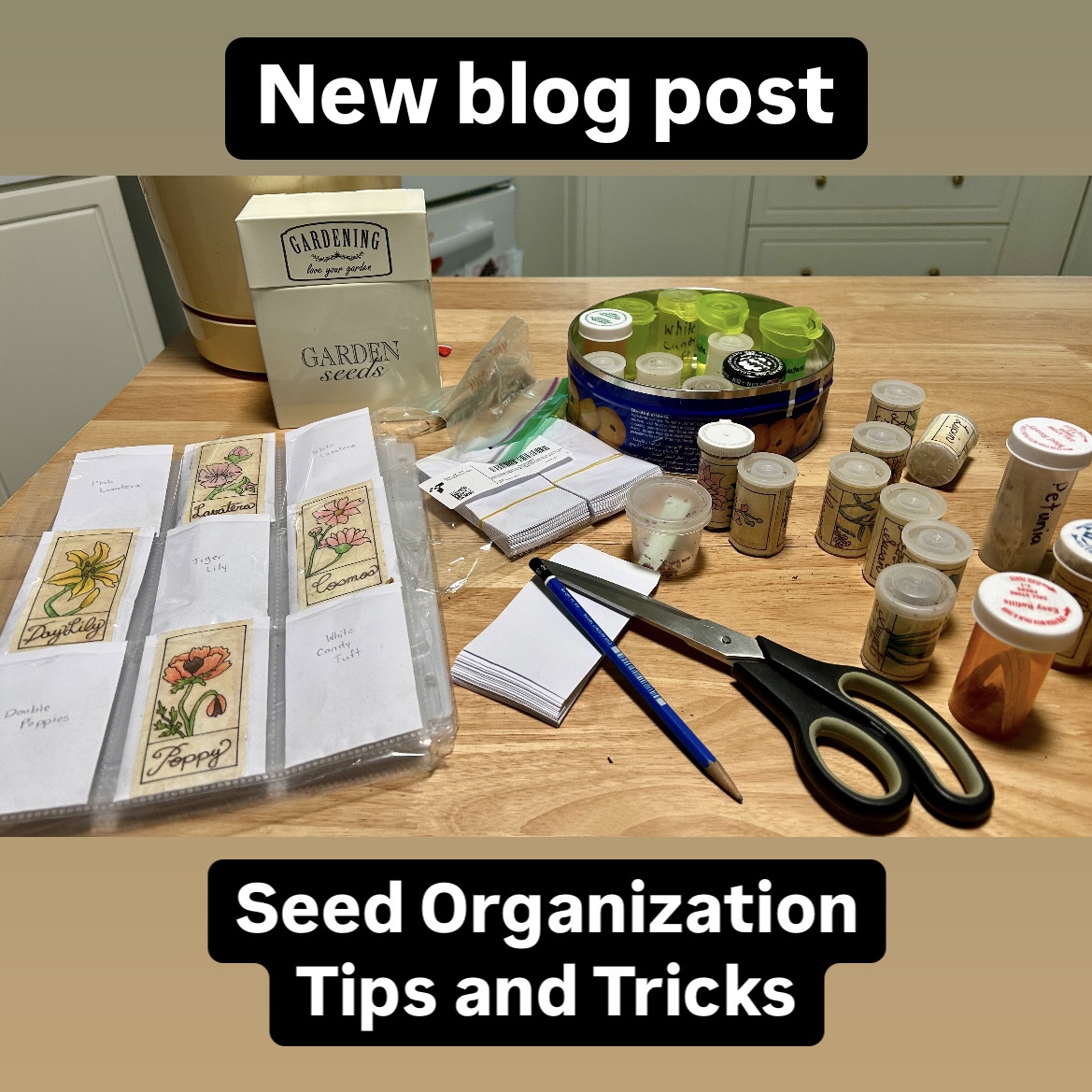 Seed Organization Tips and Tricks