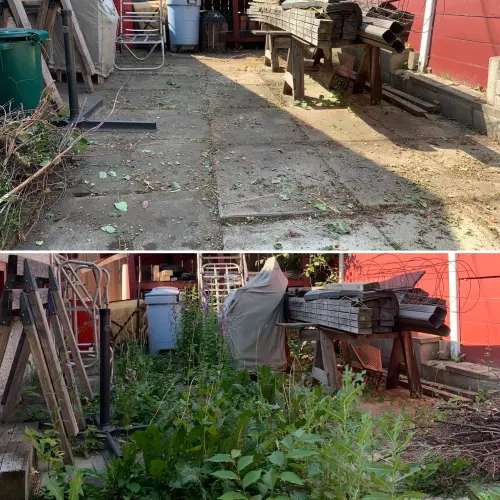 Weed removal from stone patio slab