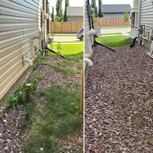 Grass removal from side yard