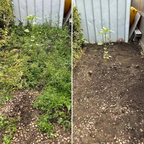 82E83364 F12D 4518 Bedb E28Cb0346Bbd