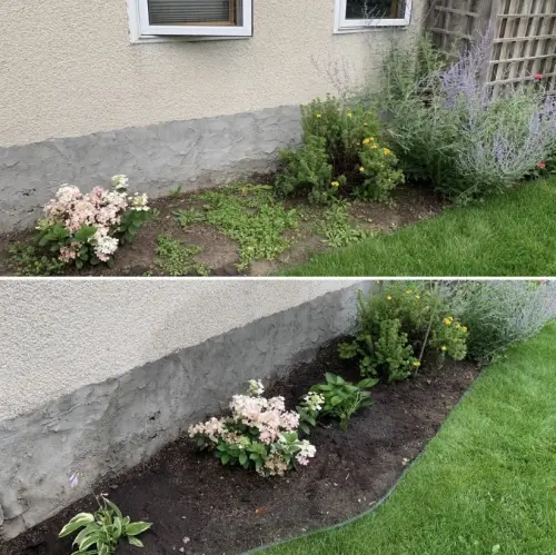 94Ce420C 9F86 46Ee 8C48 0B4B0F585B19