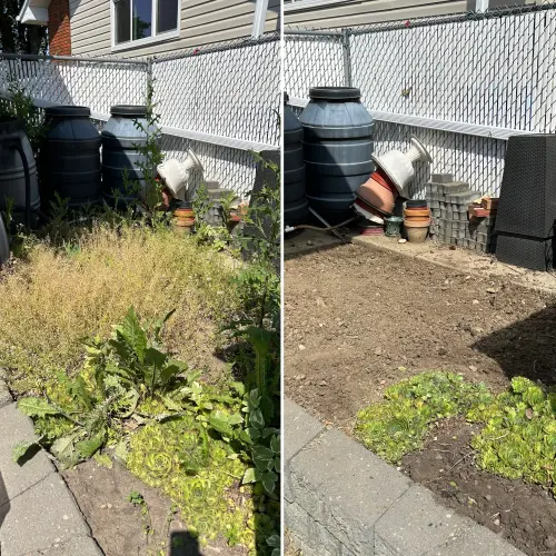 688Cead1 F663 4Ea9 Ba3F 8322240Ab8A7