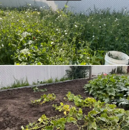 78954028 65Ac 405B 9441 Ad4A65Ee2Bdb