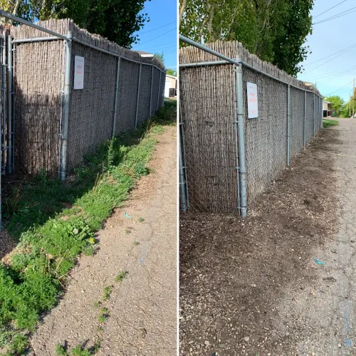 Aff4969F 9D4B 4287 Bd60 86F2C041A48C