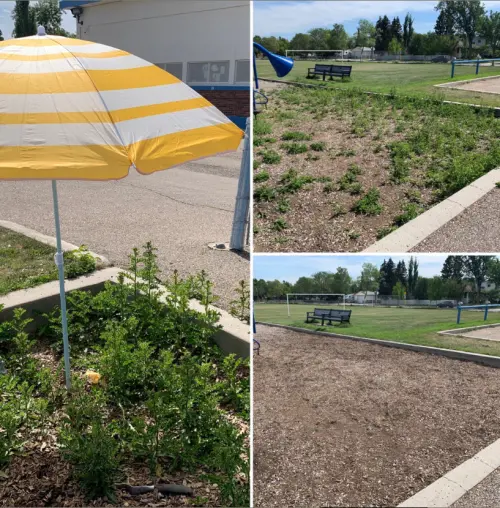 B041D5B8 9698 41A8 8203 C9Fb07789087