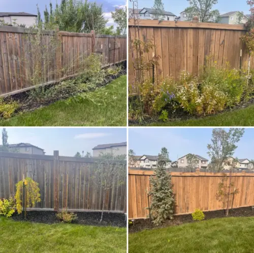 Bf496882 Bf5D 4F0B 85C1 6C52Aa8104Cd