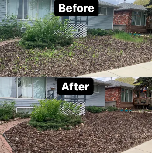 Bdd9106D 4658 4A1E 8448 9F512B955D34