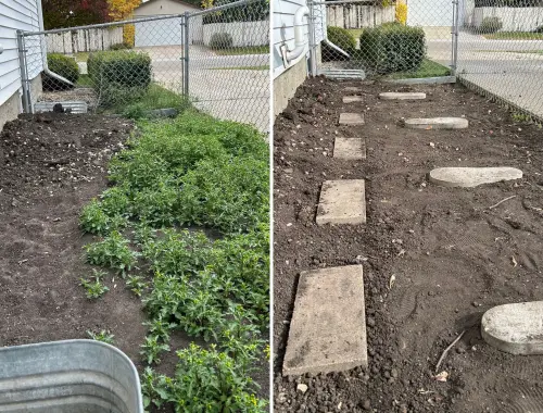 D7628B3B Ba3E 4981 8389 3685577530De