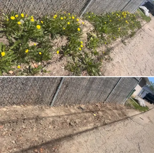 E250Dff2 B699 4272 A5Ba 52Fe07A96D06