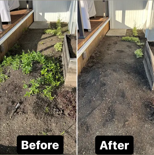 26B53321 Da9B 43A3 B58F 6495Ceb38637