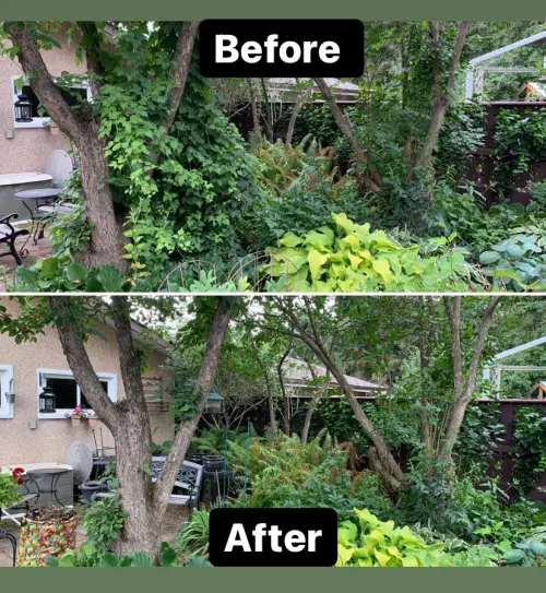 816693C9 96B7 48De 9Fb8 76762B12569E