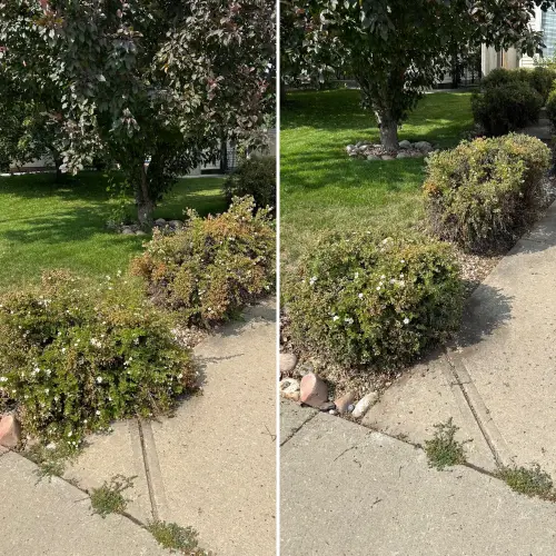 31229442 0411 468C Ac6C 9Efd497C0F3A