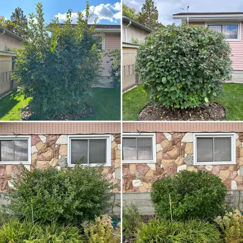 B12B9877 971E 459B 899E 0Bc17F2Fdbe7