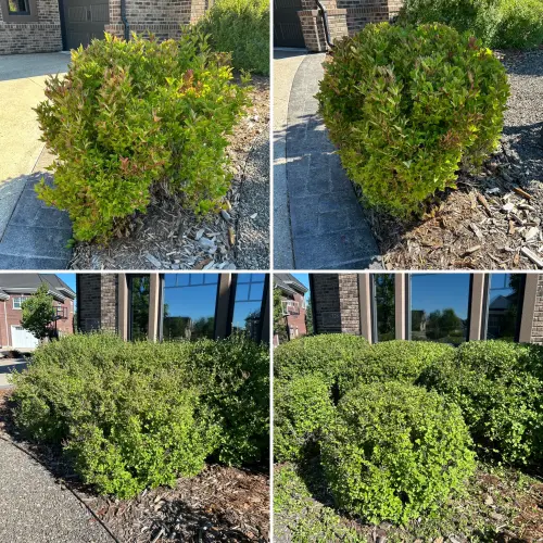 Ceb060Ac 8203 4Bc2 8612 45F353F0A74C