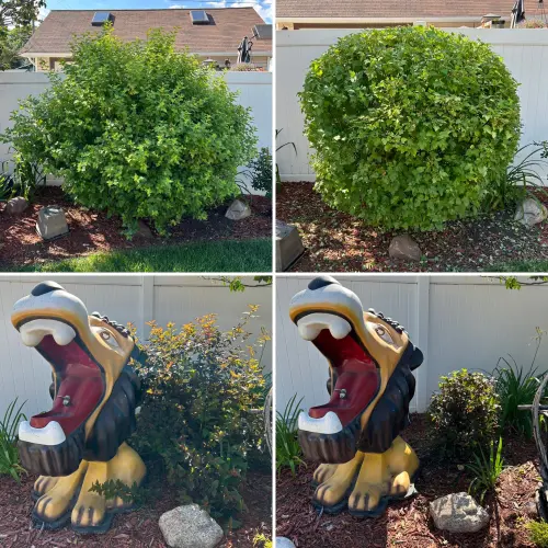 D8Bc8581 3E4D 4367 A67F 335137959Cae