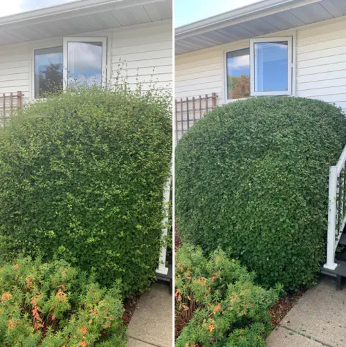 F2588750 27F3 4Aa4 86A8 B77Ac9B84F9E