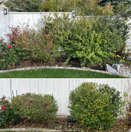 F8Fb754A D132 4E34 Bfce 8E9131E91146