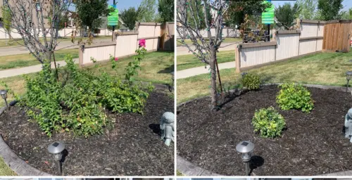 3A889Ed4 F46D 4767 9F7A 9Eb8C7E54E6E