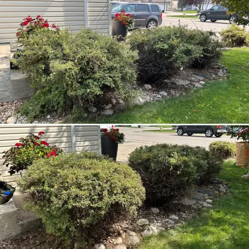 Fb97Cdfb Aef2 4Ff1 Bdd7 4Ea1E249C112