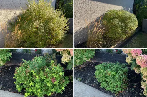 5Dfaf342 E33A 4Bcf 91Bc 649Aa43470F6