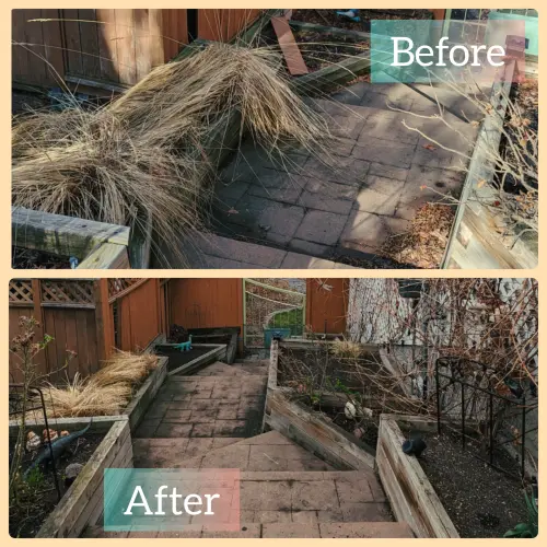 Garden beds tidied and ready for new growth