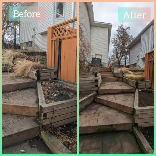 Garden beds tidied and ready for new growth