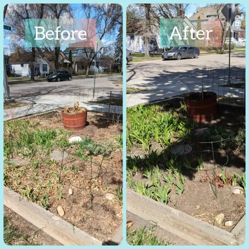 Garden beds tidied and ready for new growth
