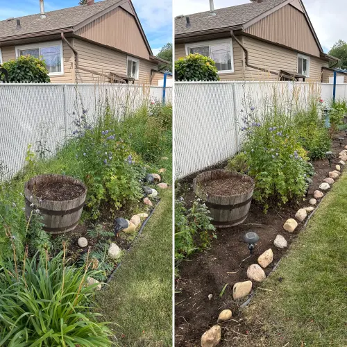 Weed removal from overgrown garden bed