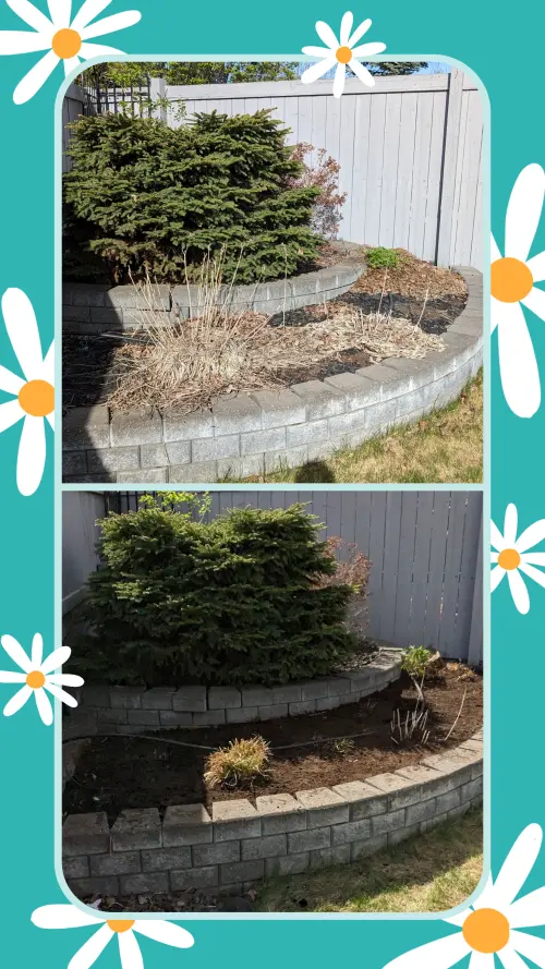 20240514 172836 Collage