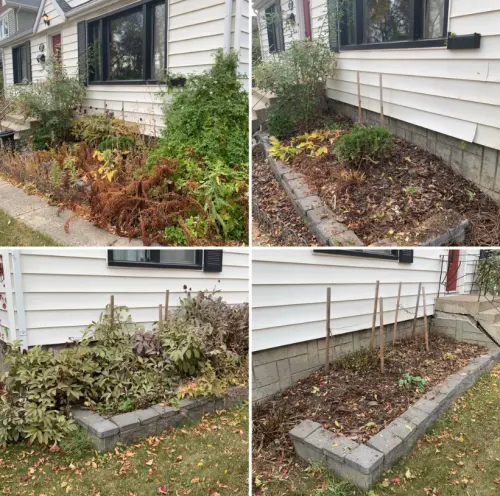 D66A59D8 Ed01 4Acd B8Dc 22Fc4F87Fec7