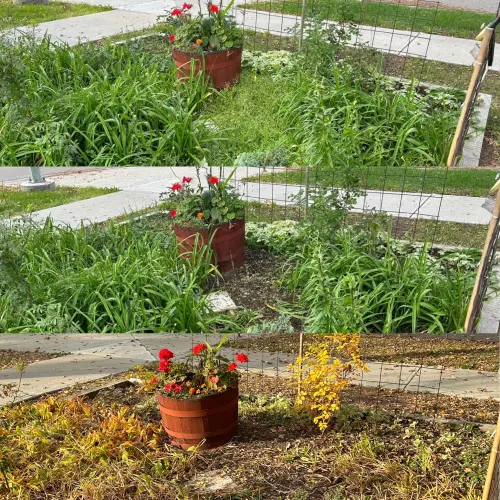 Cdd1247B 7F05 4208 Bb1A 0343140F467A