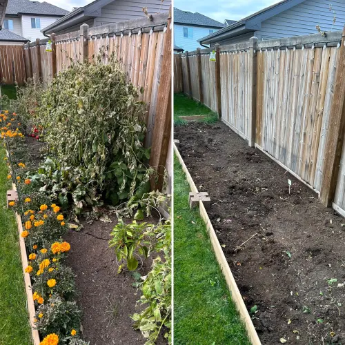 Fd5Cc3D1 52D0 44E8 89A2 11D234F2C8Ca