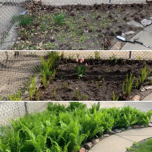 Fdcba5C0 94D8 46Cf Bd89 4D24D1897226