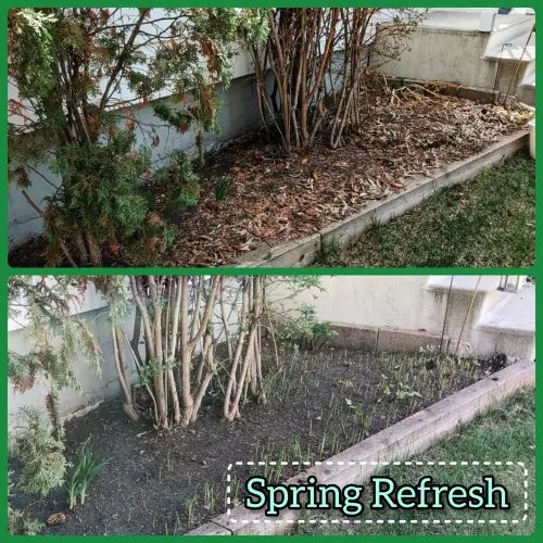 Inshot 20240510 211748748